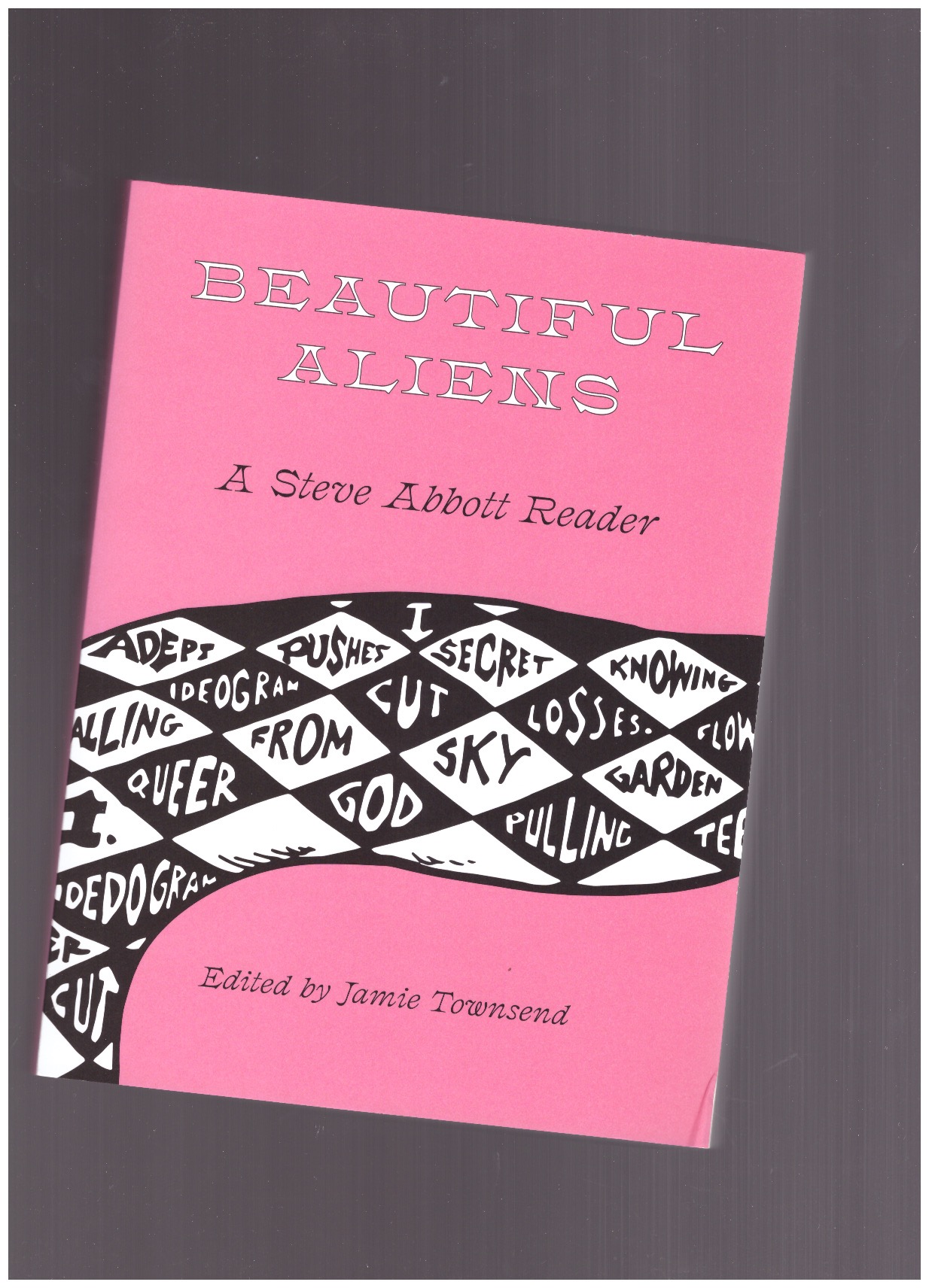 ABBOTT, Steve; TOWNSEND, Jamie (ed.) - Beautiful Aliens. A Steve Abbott Reader